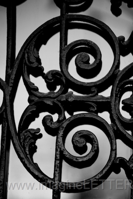 Wall_Art_Alphabet_Photography_Art_ 392.jpg